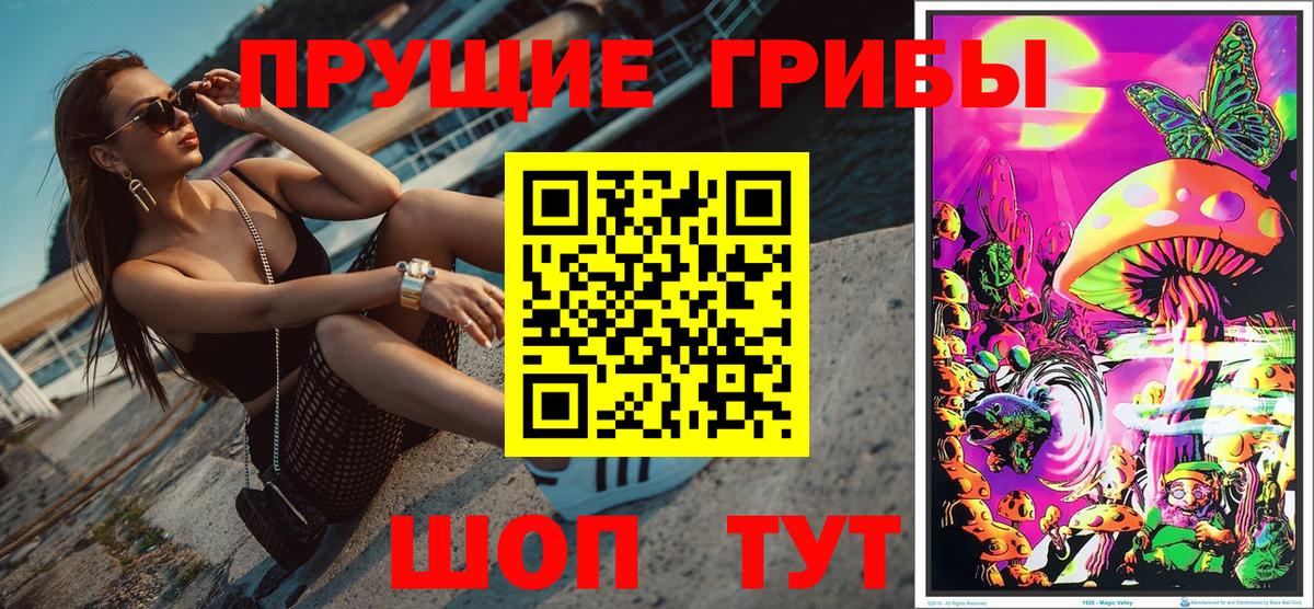Псилоцибиновые грибы Cubensis Нижневартовск